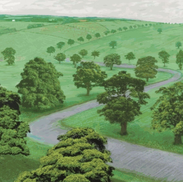 15th June 2021 David Hockney A Bigger Green Valley Phillips London [Lot 00148] Estimates: 60,000 - 80,000 GBP / (84,447...