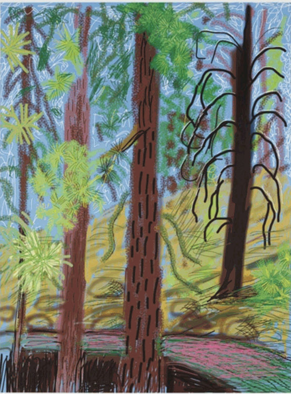 26 October 2016 David Hockney Yosemite No. 6 Phillips New York Estimate: 20,000 - 25,000 USD 30,000 USD Premium