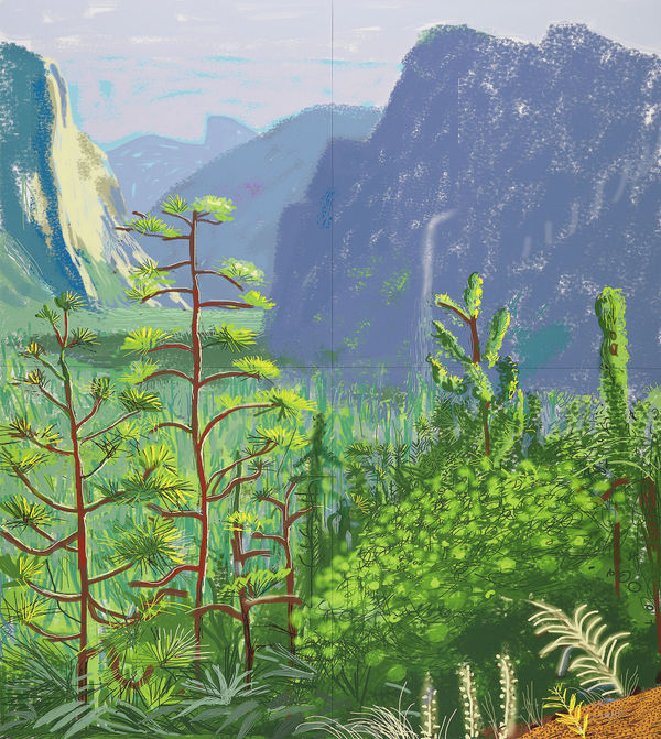 Yosemite Suite, iPad drawings 2010 -2011
