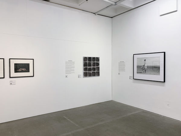 Arnolfini Installation 04