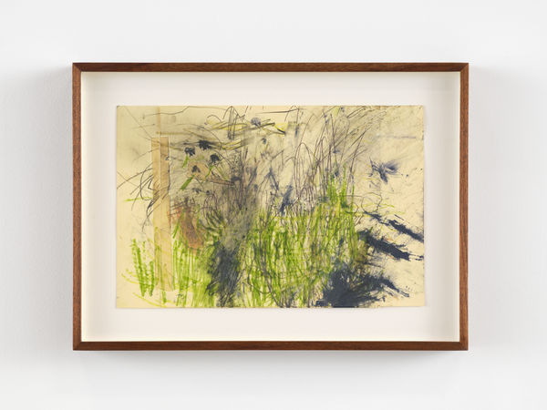 2024 06 04 Vardan39450