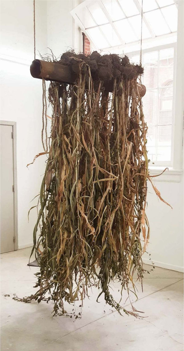 Laurence Petrone, Qui me dirige / 2021-2 (mid-term jury, Royal Academy of Fine Arts, Antwerp) corn plants copper, steal, steel, rope, turmeric
