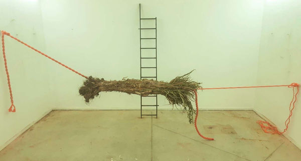 Laurence Petrone, Qui me dirige / 2021-2 (mid-term jury, Royal Academy of Fine Arts, Antwerp) corn plants copper, steal, steel, rope, turmeric