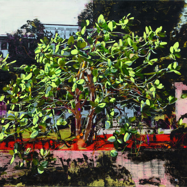 Anne Van Boxelaere - Urbanism