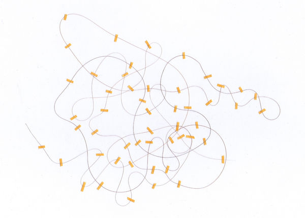 Liesbeth Henderickx - Unraveled Entanglement