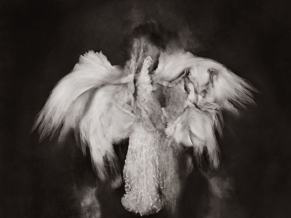 Les Bras Thomas Devaux Web