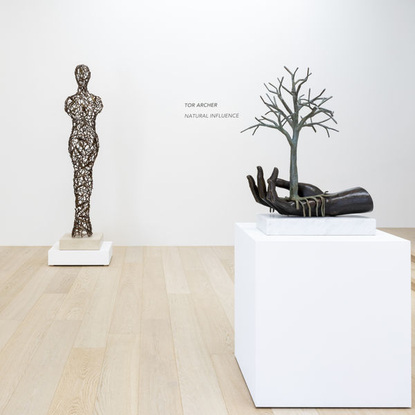 TOR ARCHER: NATURAL INFLUENCE