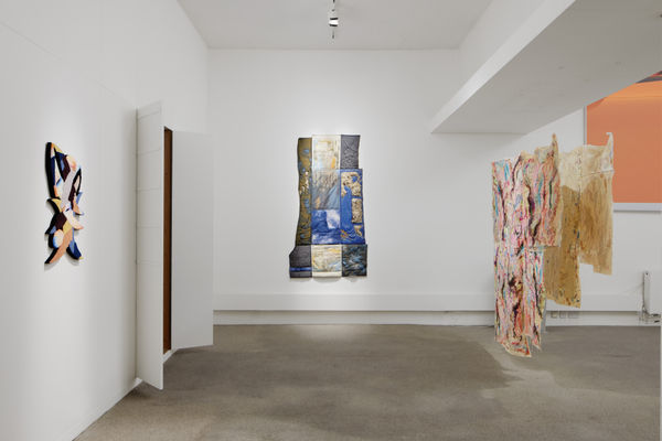 Palmer Gallery Field Of Difference 12