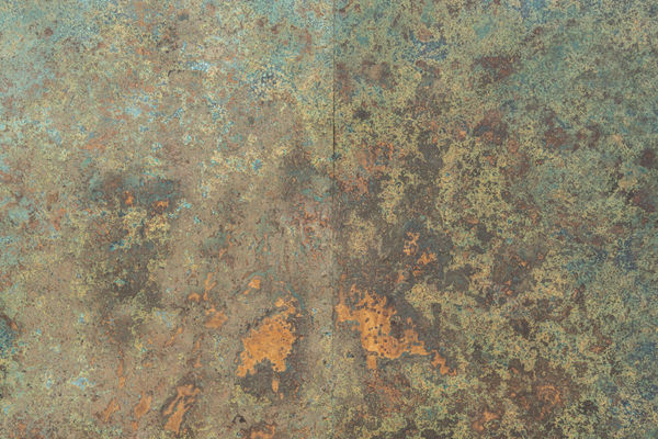 Shaan Bevan Owen Pratt Hires 047 1