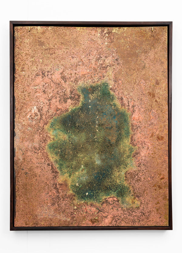 Shaan Bevan Owen Pratt Hires 053 1