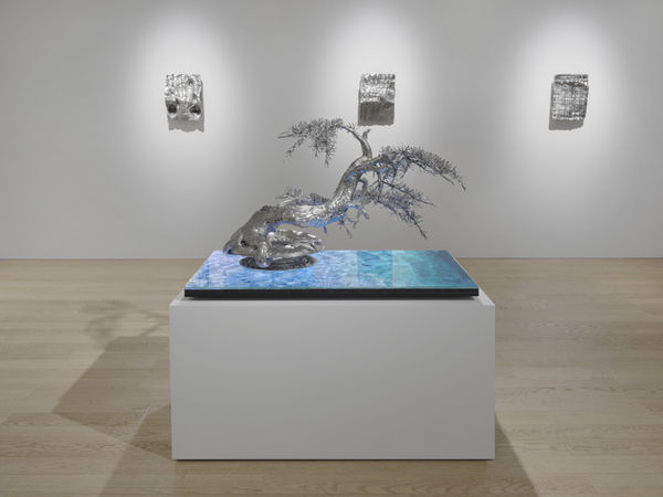 Timur Si Qin solo exhibition at Albion Jeune exploring ecology, culture, and spirituality