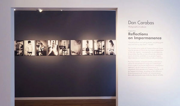 REFLECTION ON IMPERMANENCE Dan Carabras - Solo Show, Paris