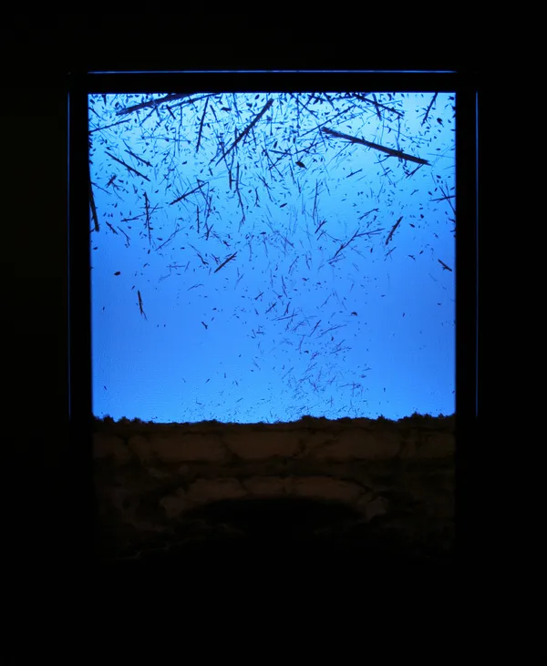 Eric Eriston Winarto, 2009