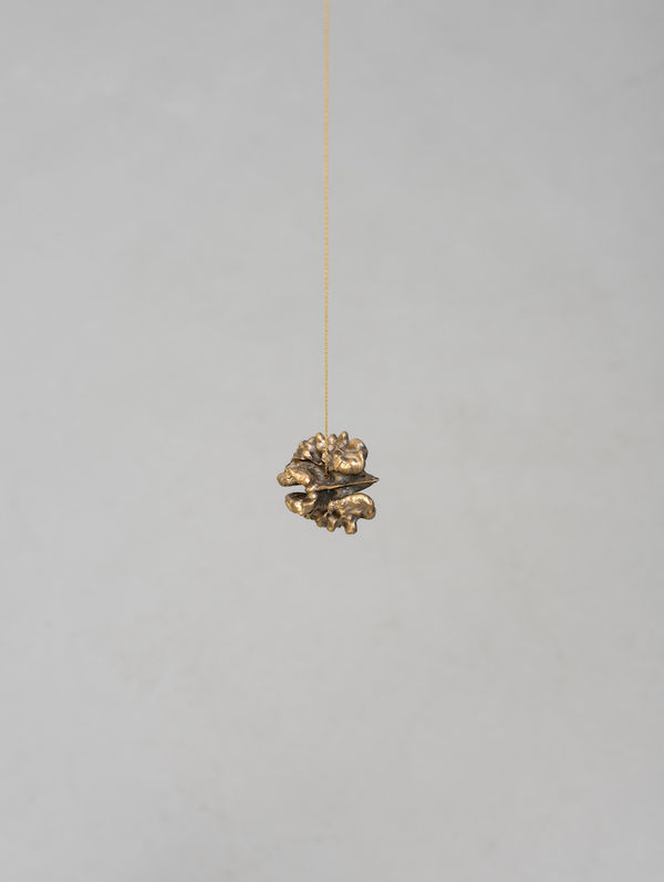 Photo: Kayhan Kaygusuz