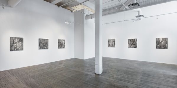 Shaheen Klausmosettig 06 Version02