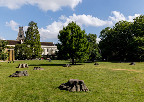 Photo: Graham Taylor