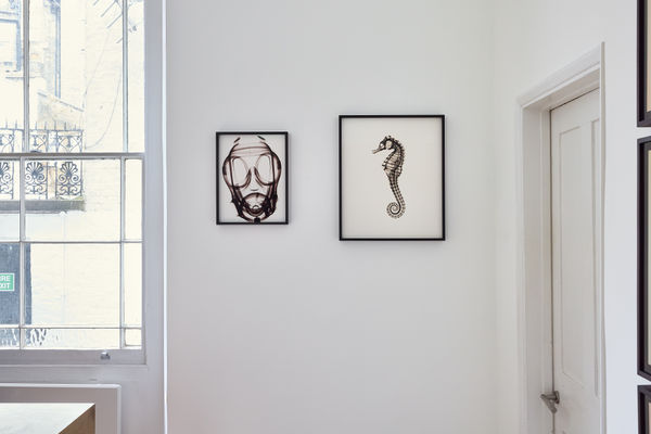 250327 Directexposure3266 Full Res