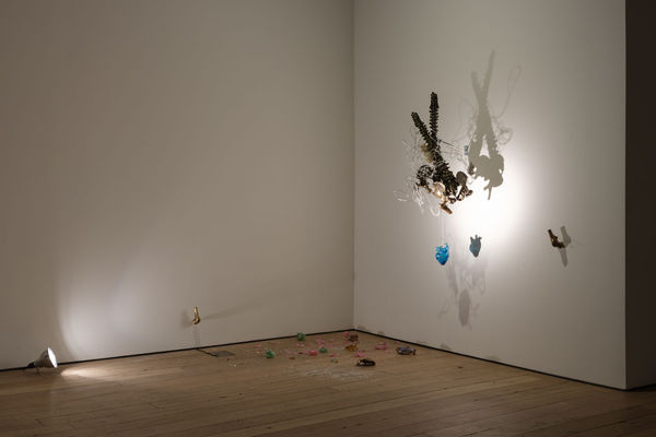 2026 Andisheh Avini Martos Gallery 28 Photo Steven Probert Studio