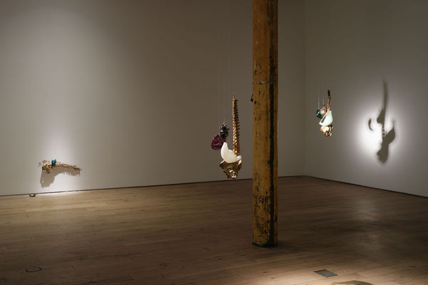 2026 Andisheh Avini Martos Gallery 33 Photo Steven Probert Studio