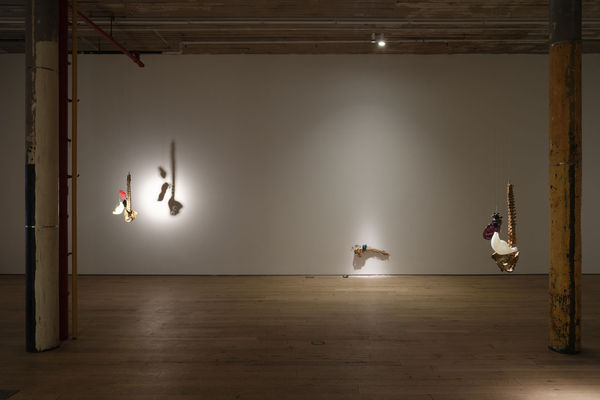 2026 Andisheh Avini Martos Gallery 34 Photo Steven Probert Studio