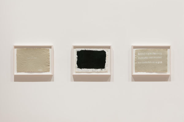 A Year of Firsts, Gallery Installation, 2017