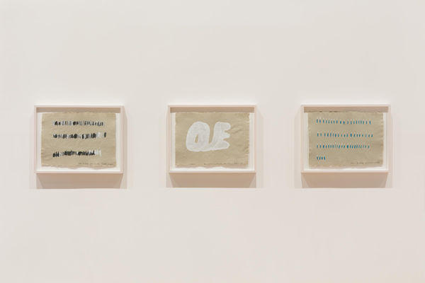 A Year of Firsts, Gallery Installation, 2017