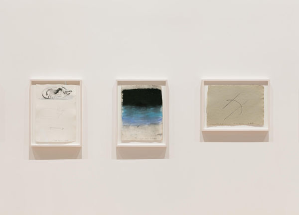 A Year of Firsts, Gallery Installation, 2017