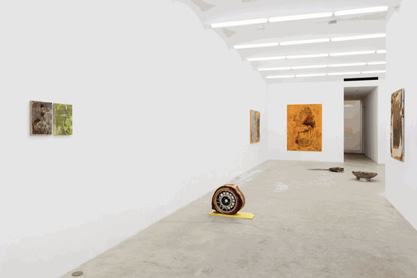 I drive and I think and I look, but I don't know. Lanquidity, Gallery Installation, 2015