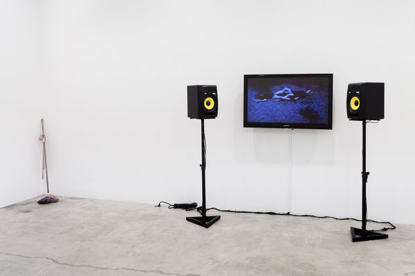 Lonely Girl, Installation View, 2013