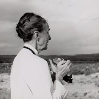 Georgia O'Keeffe: Photographer