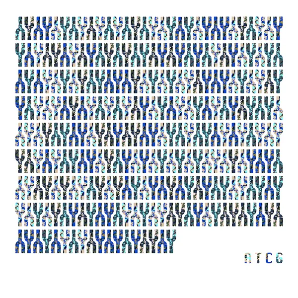 Nela Ochoa, Hermafrodita (Basado en un gen de hermafrodismo humano), 2020 Impresión Giclée en canvas, Edición P/A, 48 × 48 cm