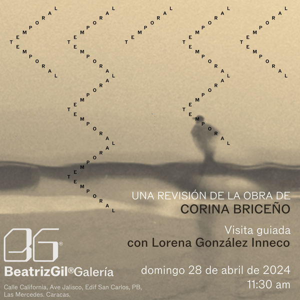 Visita guiada de la exposición “Temporal”