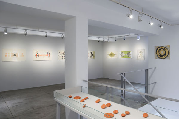 Su Majestad Vegetal: 156 km/h María Virginia Pineda