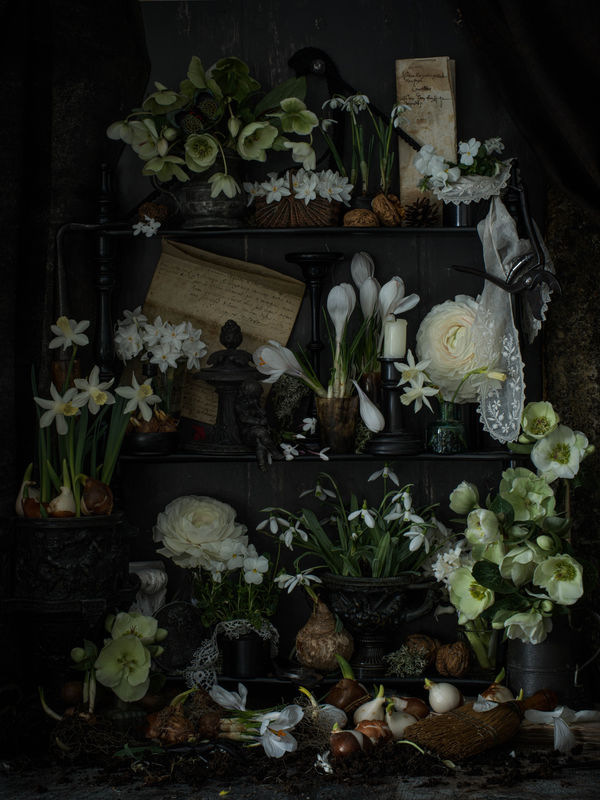 60F97168 Af79 4B7B B5Ab 4321B8127Dfa