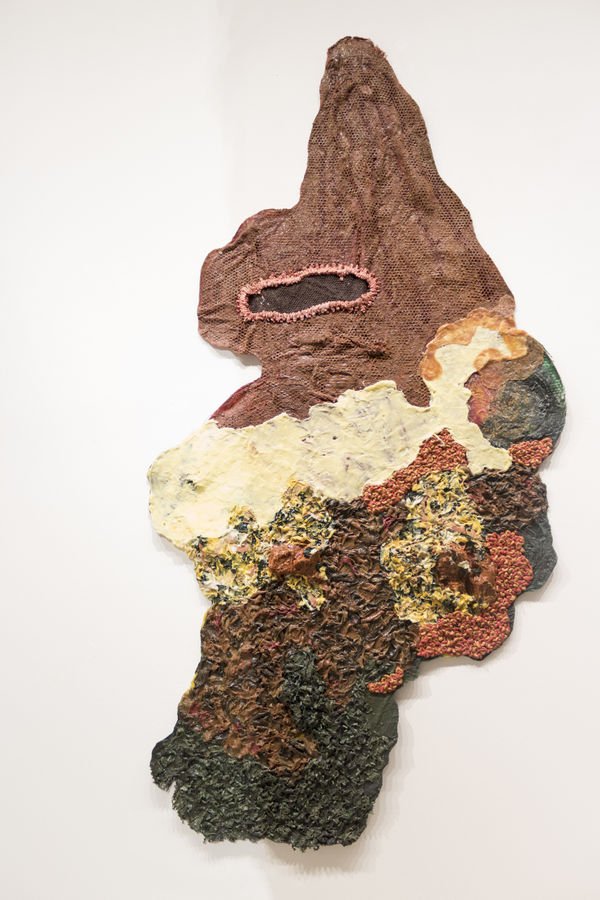 Troy Makaza Untitled 2019 Silicone infused with paint 270 x 140 cm