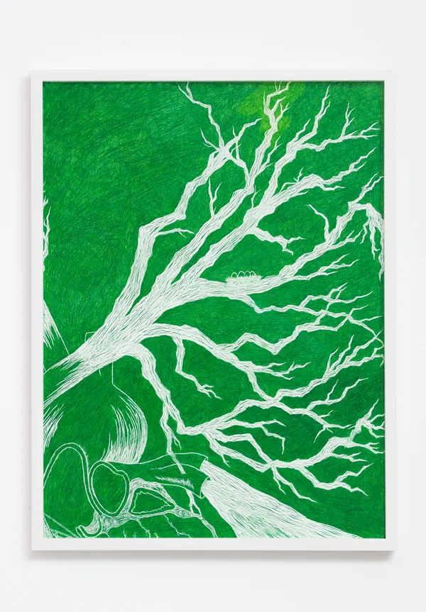 Ad 1703 Mg 6176 Edit