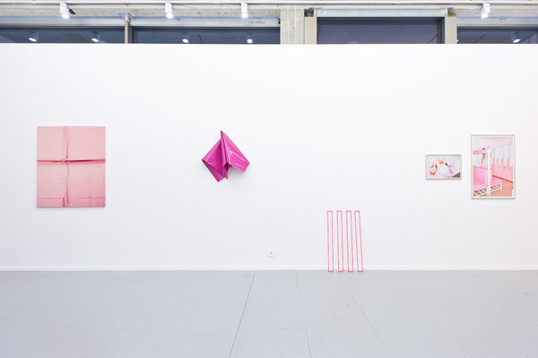 20190117 Svdv Rosecolored 10 Lr 2250X