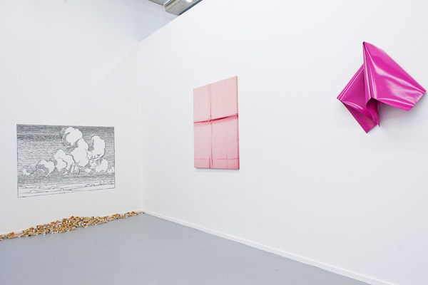 20190117 Svdv Rosecolored 17 Lr 2250X