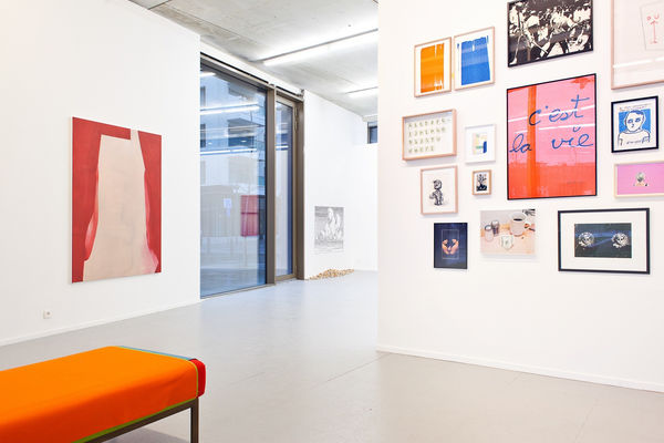 20190117 Svdv Rosecolored 22 Lr 2250X