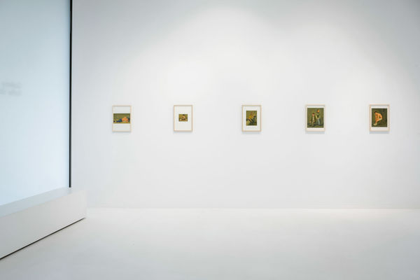 Felixdeclercq 0000 55