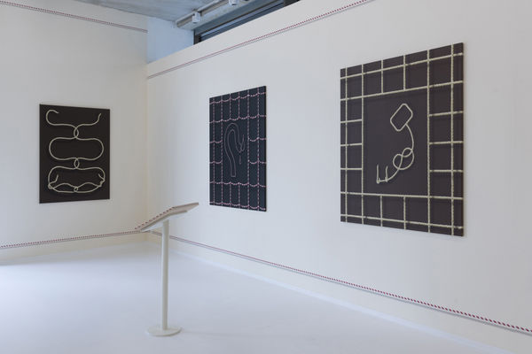 Charlinetyberghein Axelledegrave 4 2250X