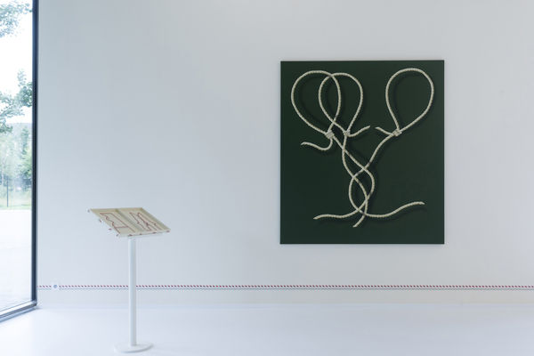 Charlinetyberghein Axelledegrave 7 2250X