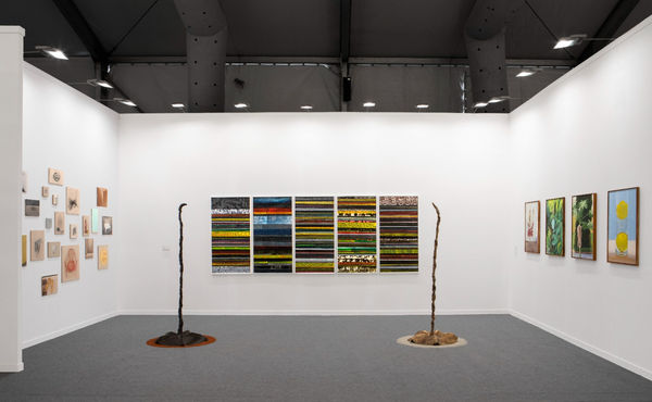 Whatsapp Image 2026 02 06 At 1 17 20 Pm