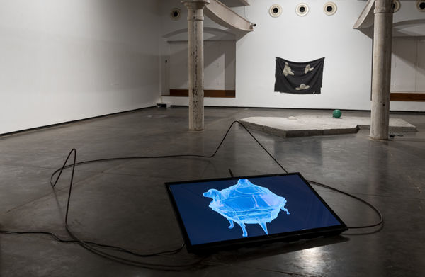 Installation View 7