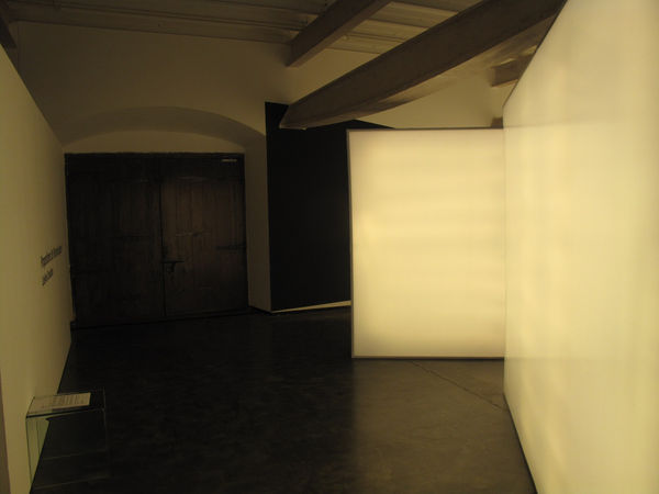 Zuleikha Chaudhuri 12