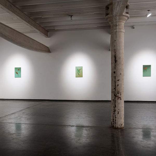 Monsoon, Mausam Claire Baker