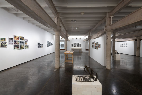 Meera Mukherjee: Photographs by Arun Ganguly