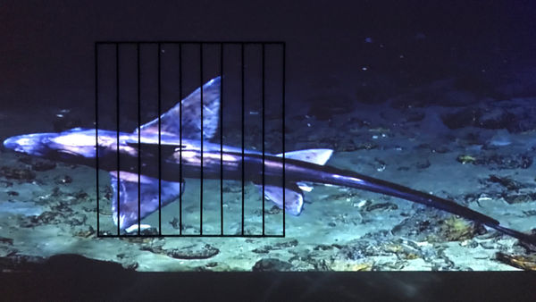 What isolation sounds like, In a new project, video artist Pallavi Paul invites people to capture their experience of self-quarantining...