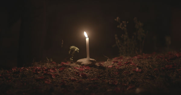 A still from Pallavi Paul’s How Love Moves. The film is showing at Mumbai’s Project 88 gallery, until April 26.