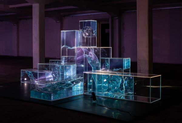 Seeking the Landscapes Ellis Holman